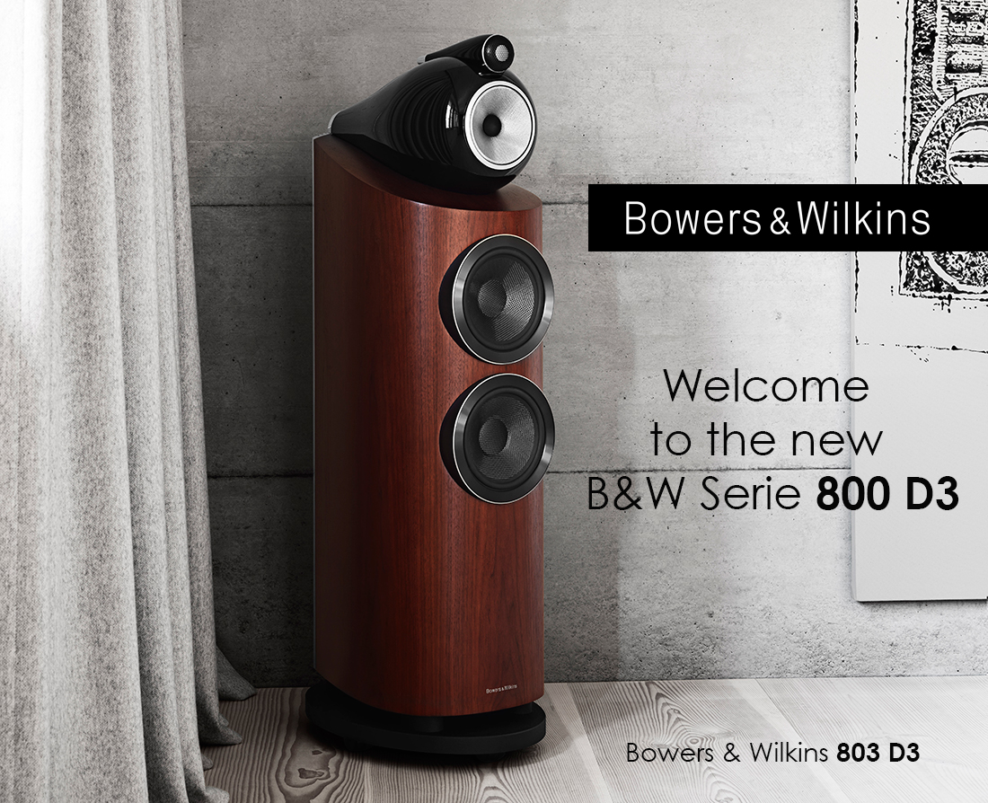 BOWERS & WILKINS SERIE 800 D3